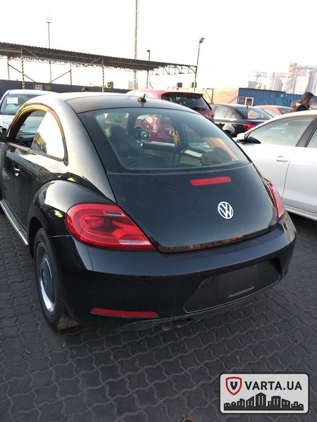Volkswagen Beetle изображение 3